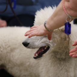 photograph by PeterW